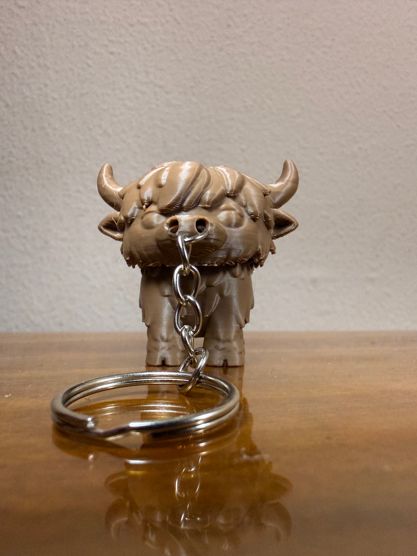 Fidget Kuh - Hochlandrind