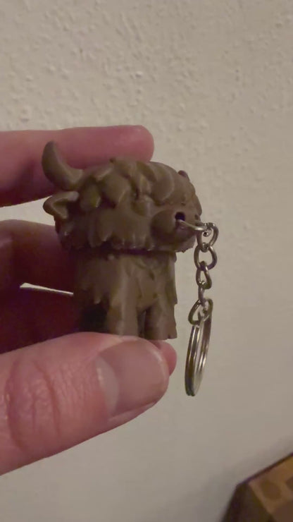 Fidget Kuh - Hochlandrind